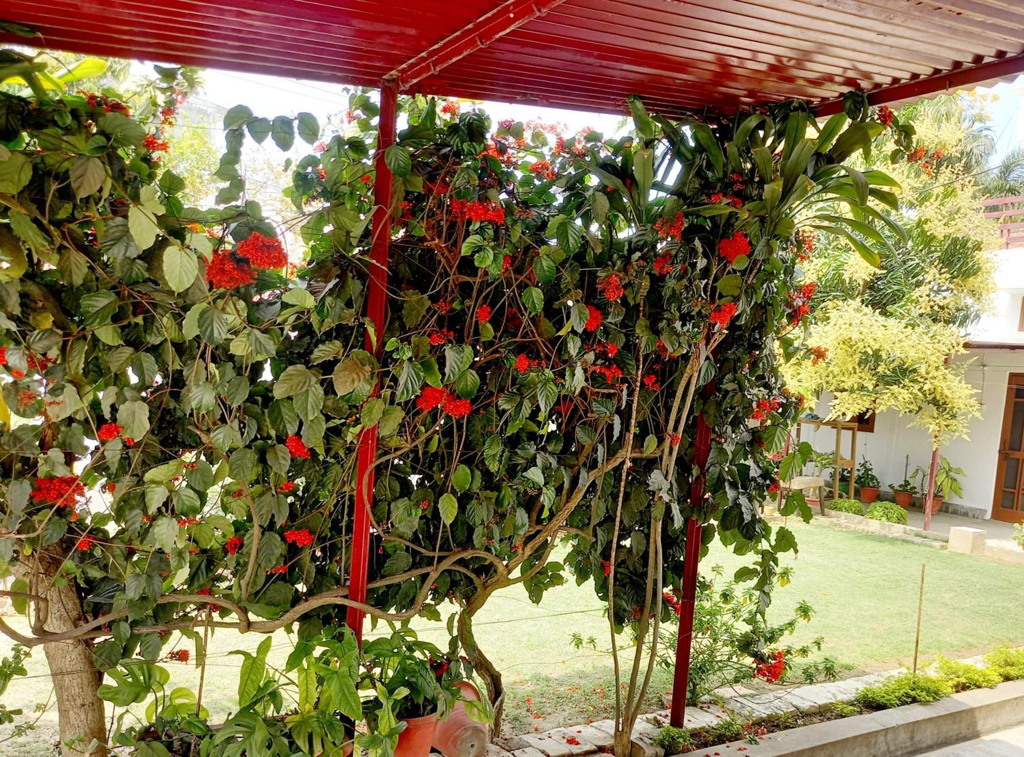 Garden View Residency Acomodação com café da manhã Lucknow Exterior foto